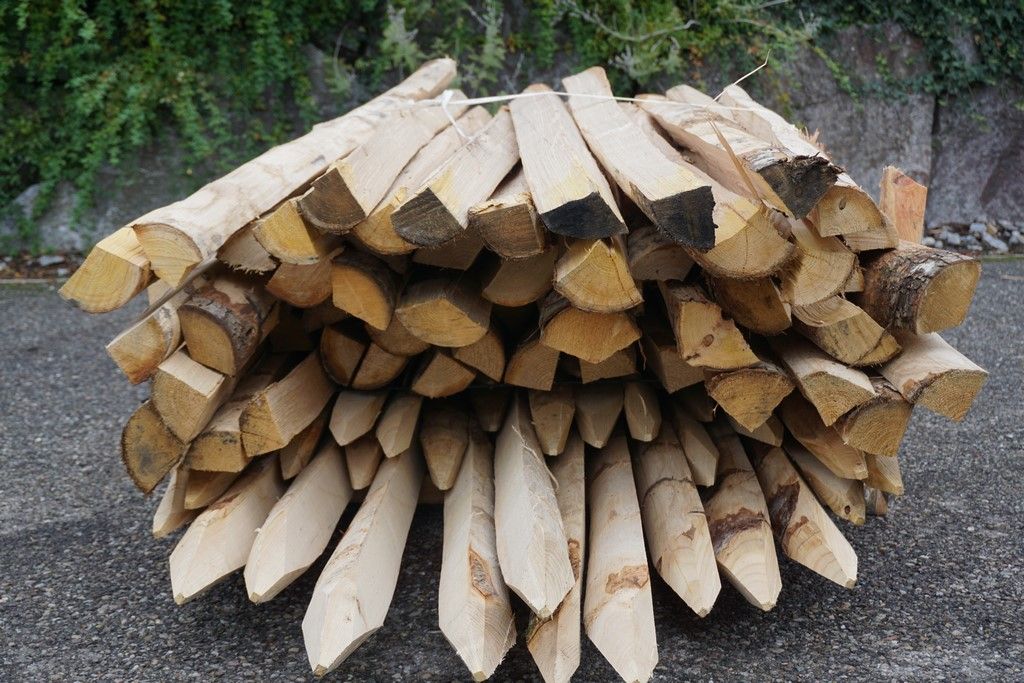 Zaunpfähle aus Kastanienholz geschält Zaun Shop